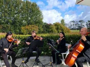 Salut Strings