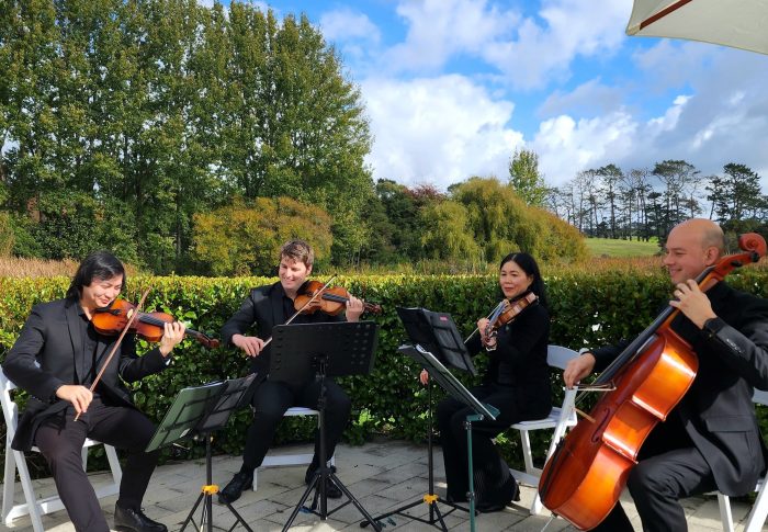Salut Strings