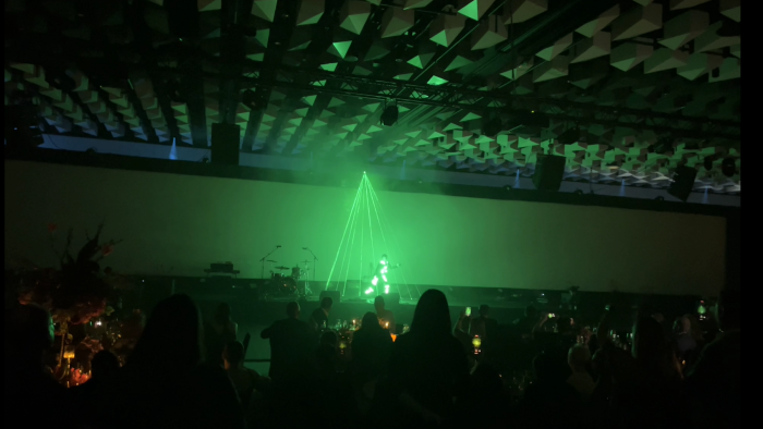 The Laser Man Show
